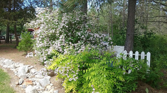 20170618_104629.jpg