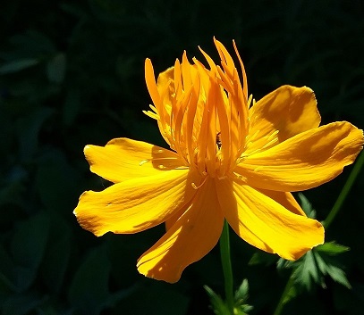 20170626_162345.jpg