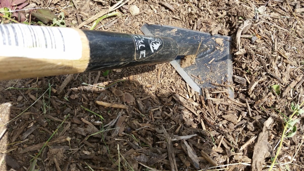 20170701_153358.jpg
