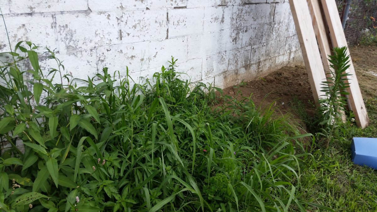 20170701_153533.jpg