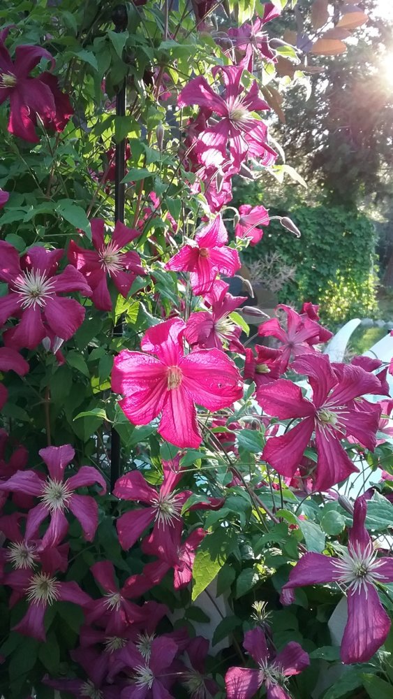 20170712_190135.jpg