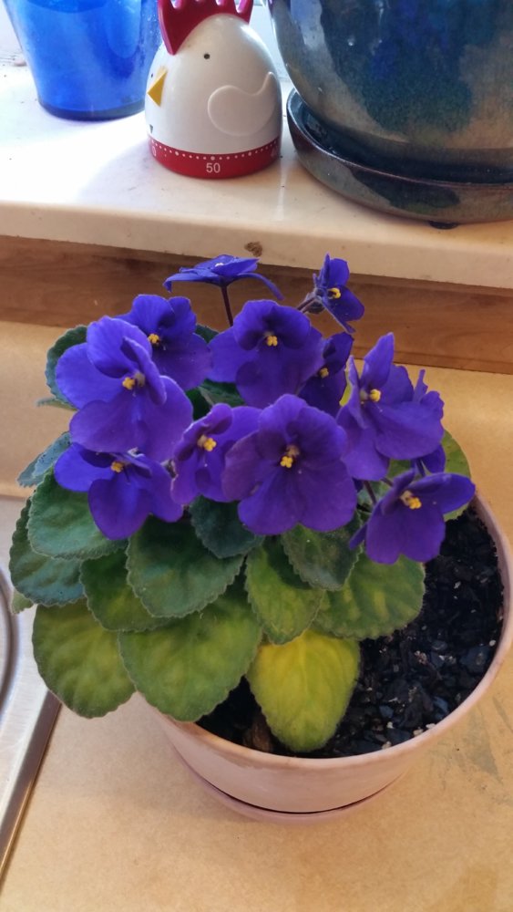 20170713_145422.jpg