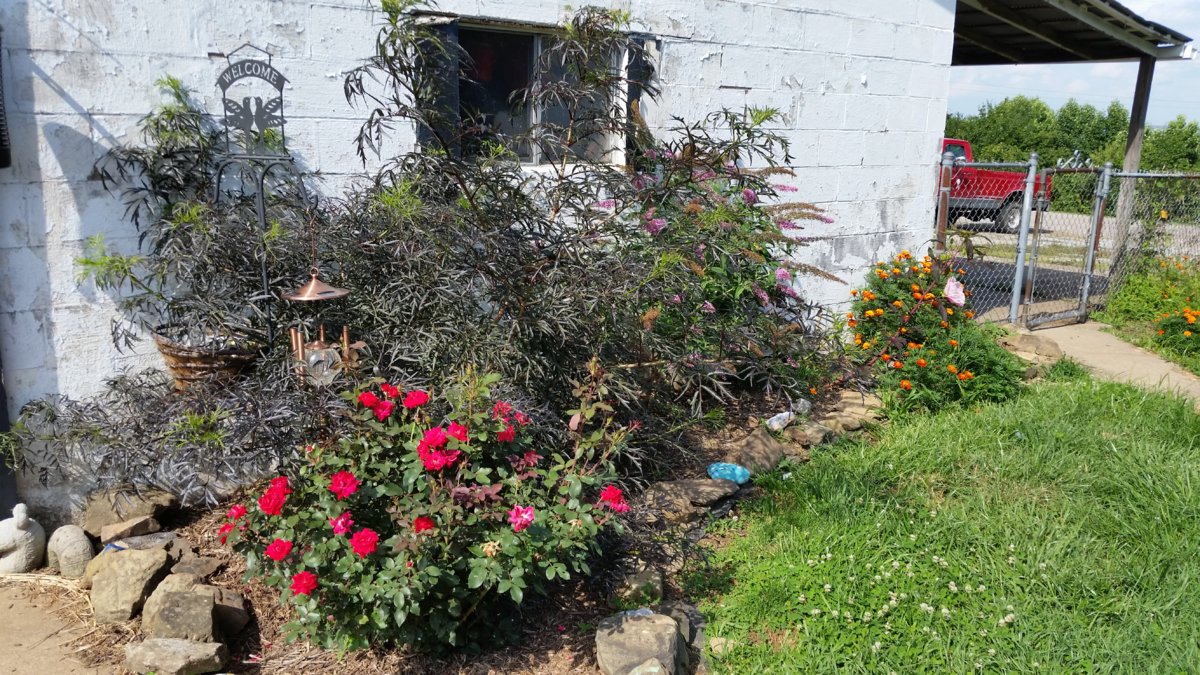 20170713_165033.jpg