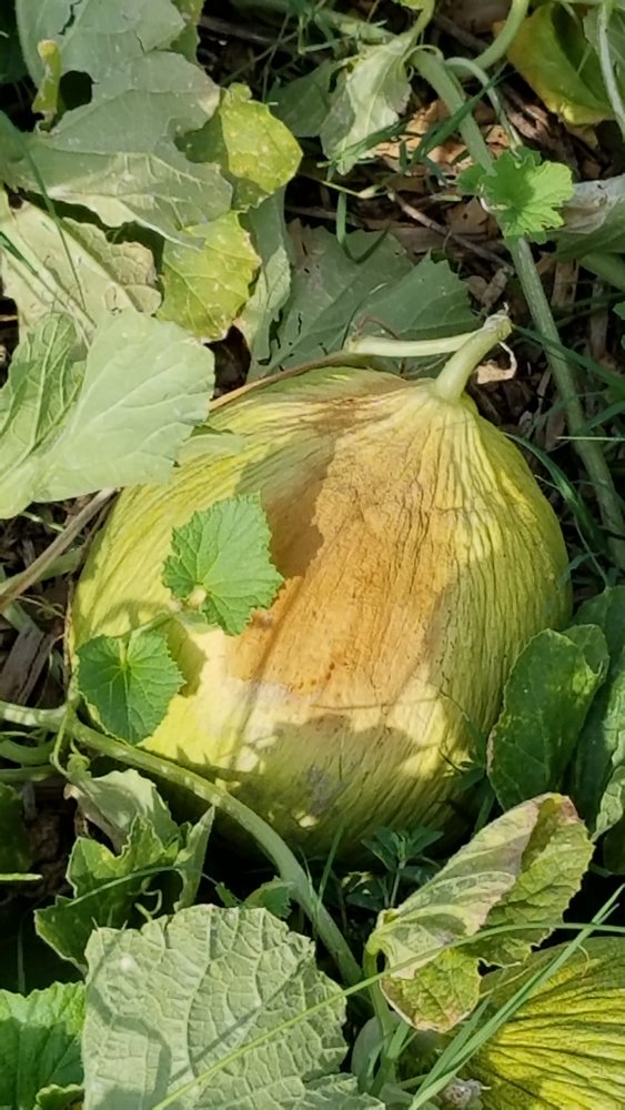20170727_182841.jpg