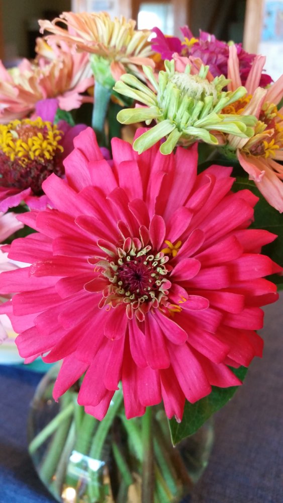 20170729_155618.jpg
