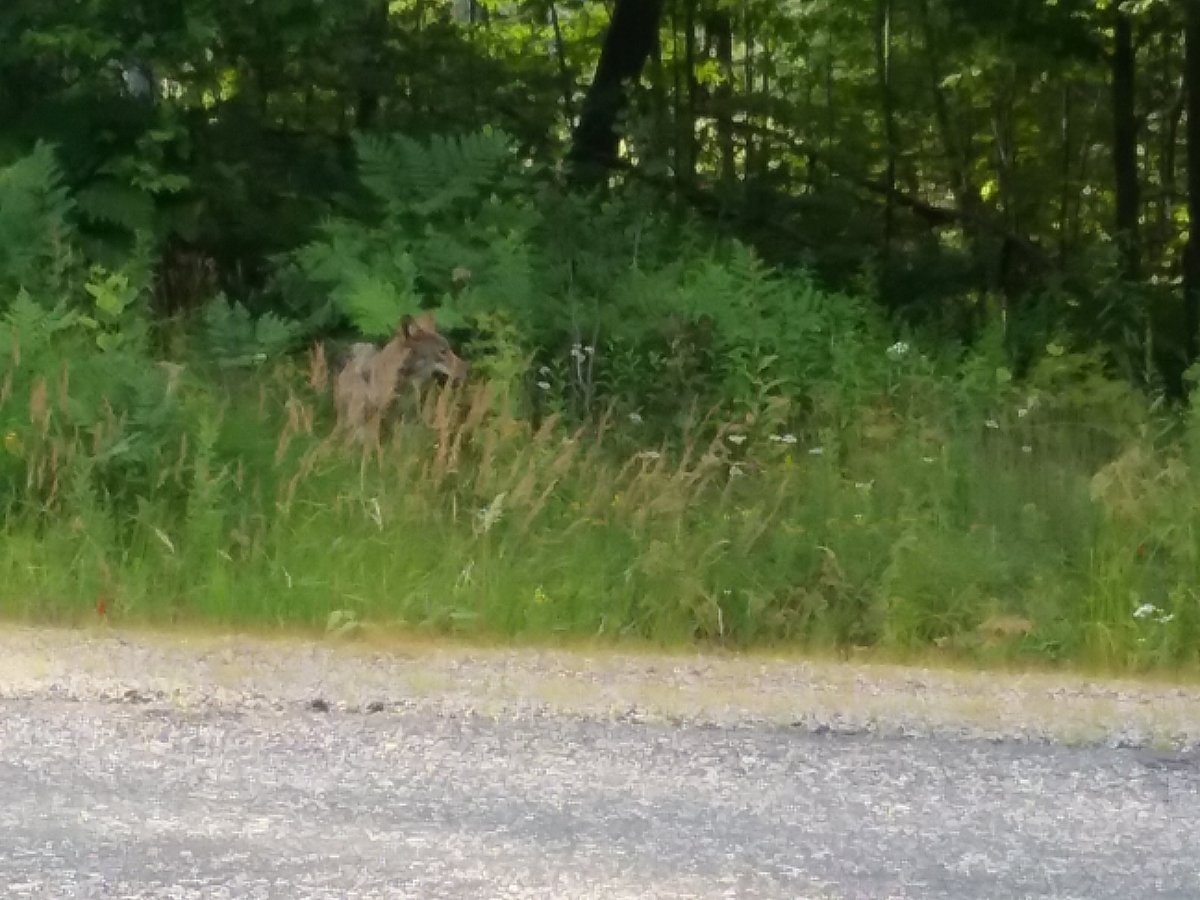 20170730_182153.jpg