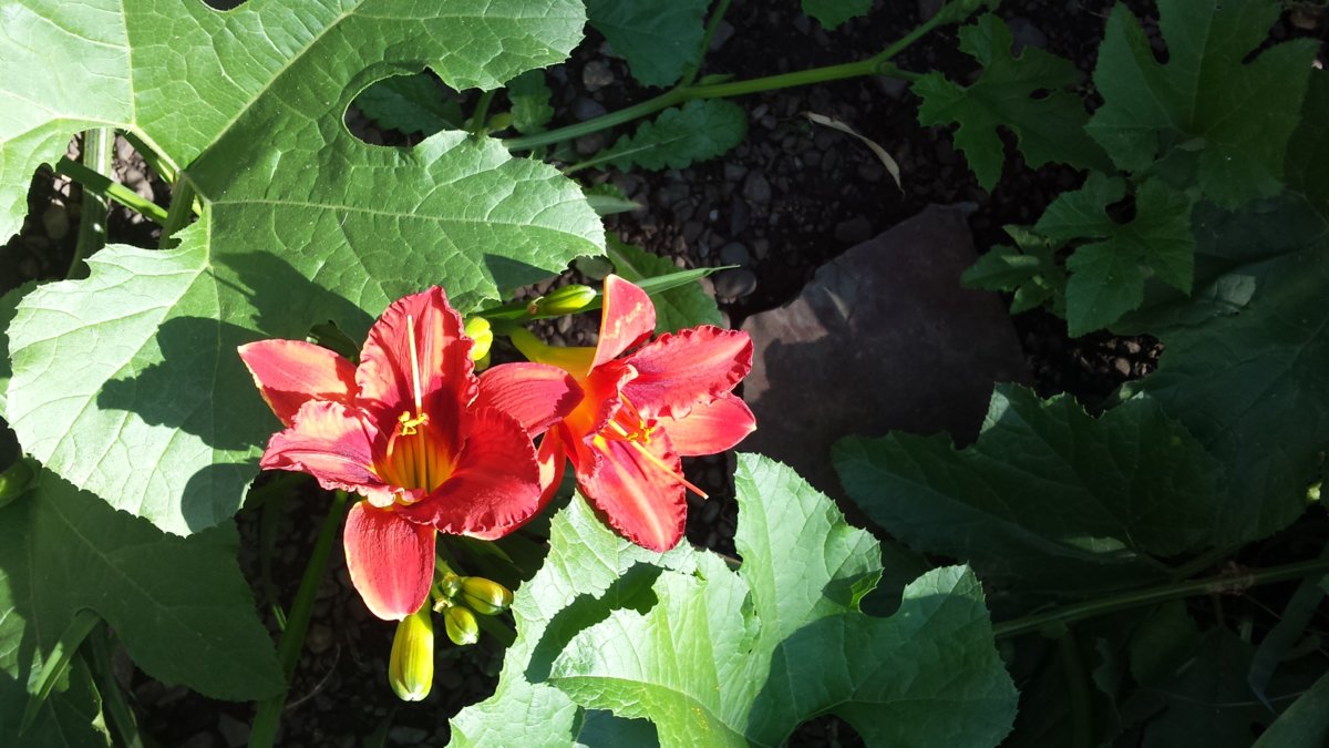 20170814_100854.jpg