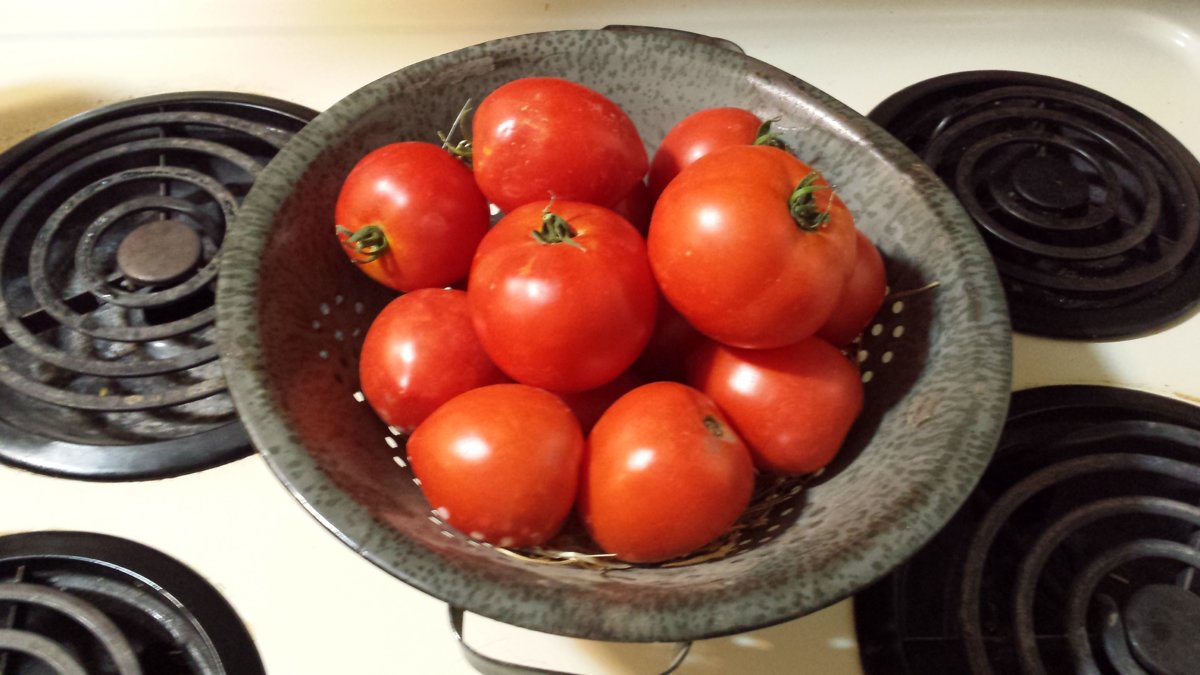 20170903_104036.jpg