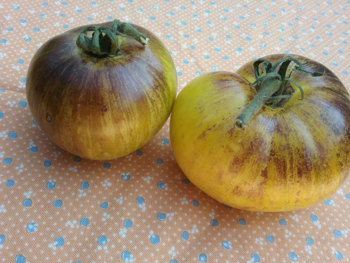 20170909_160453.jpg