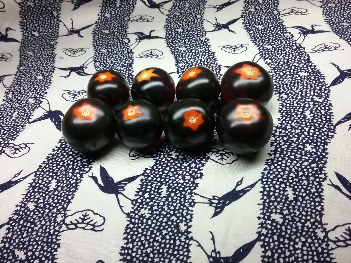 20170911_224245.jpg