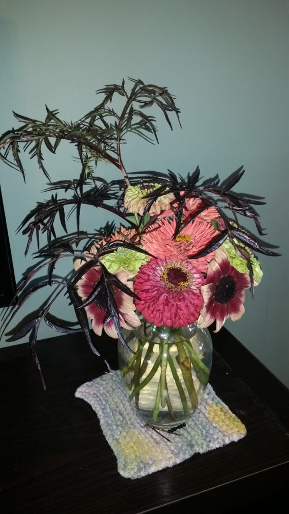 20170918_163532.jpg
