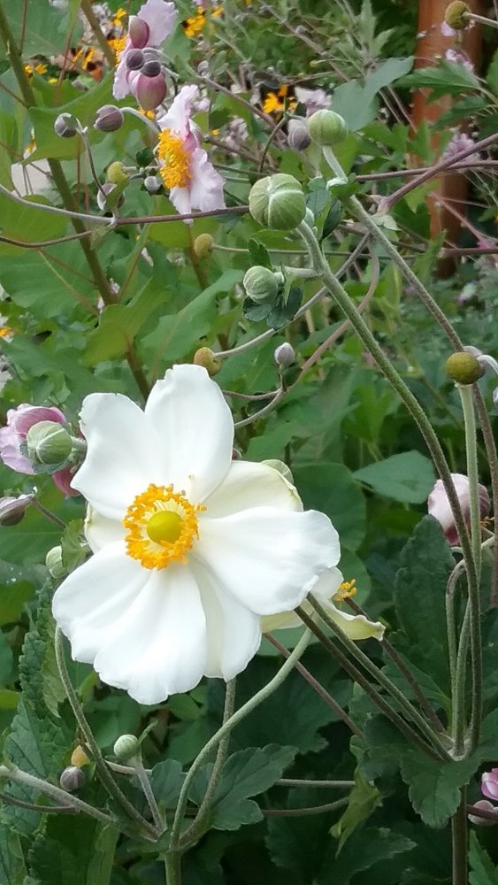 20170920_114537.jpg