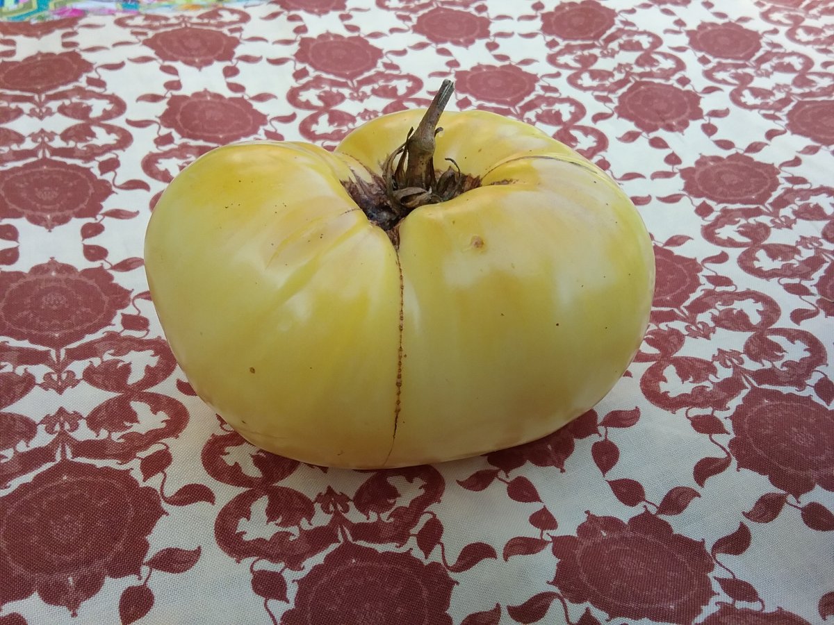 20170922_161526.jpg