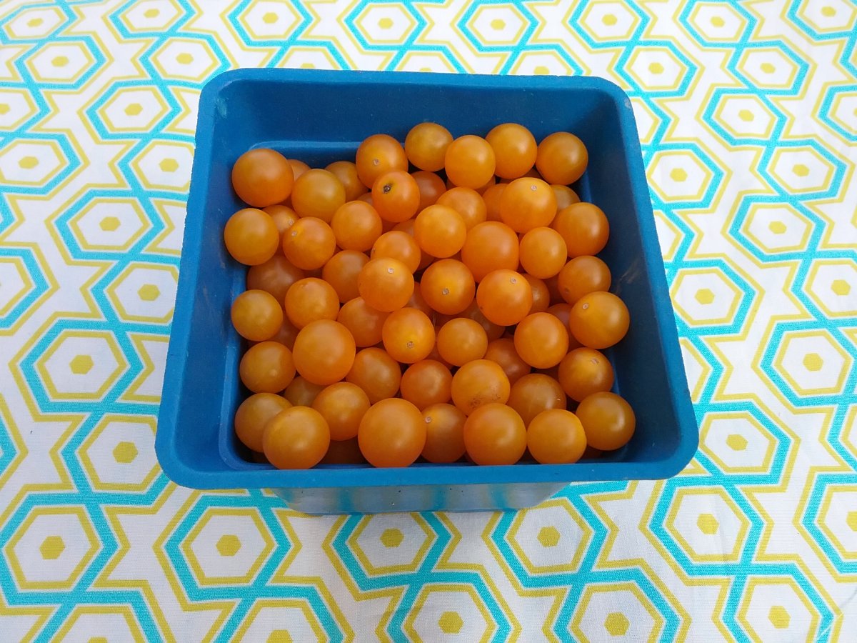 20170922_162139.jpg