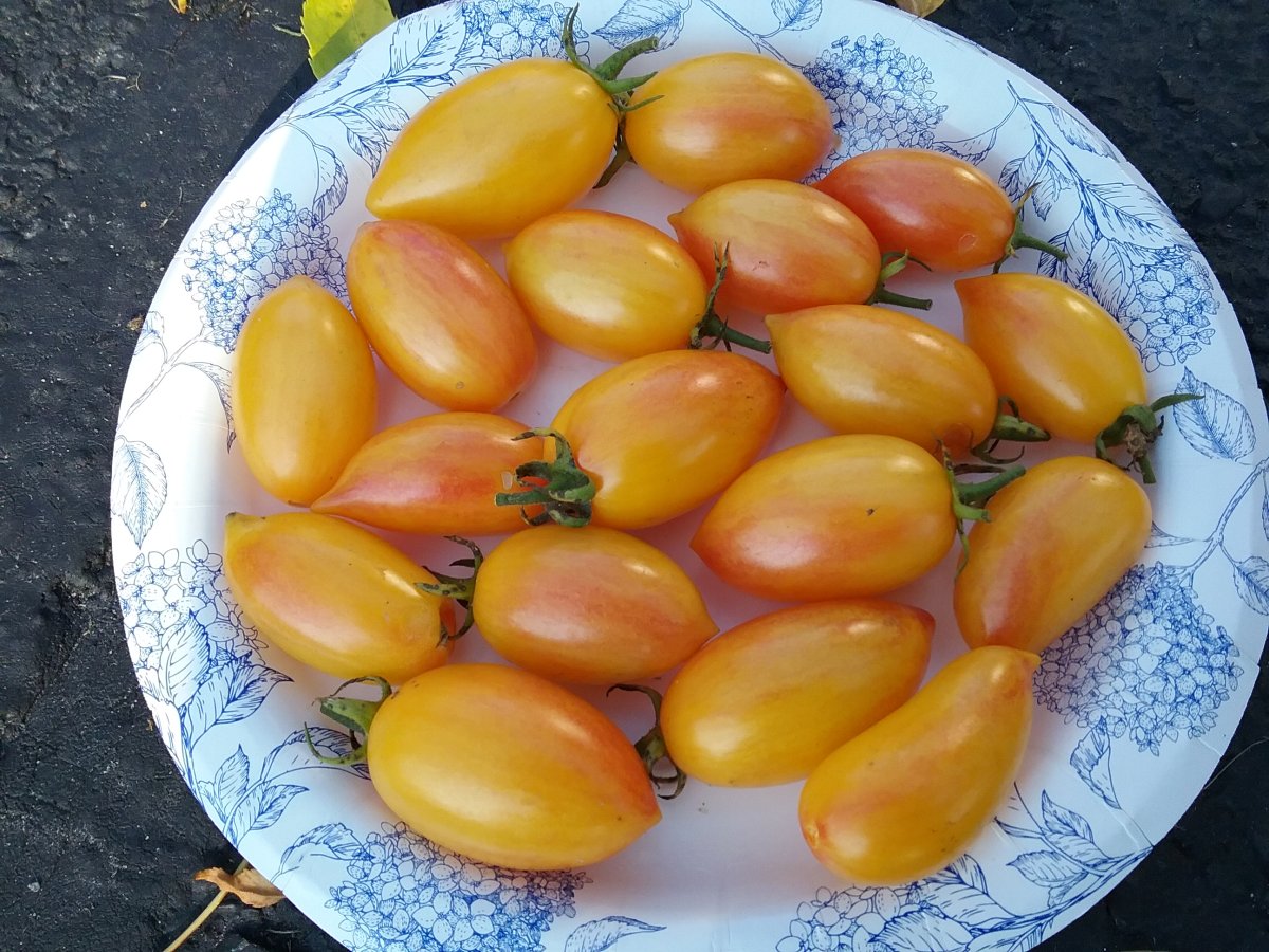 20170924_165001.jpg
