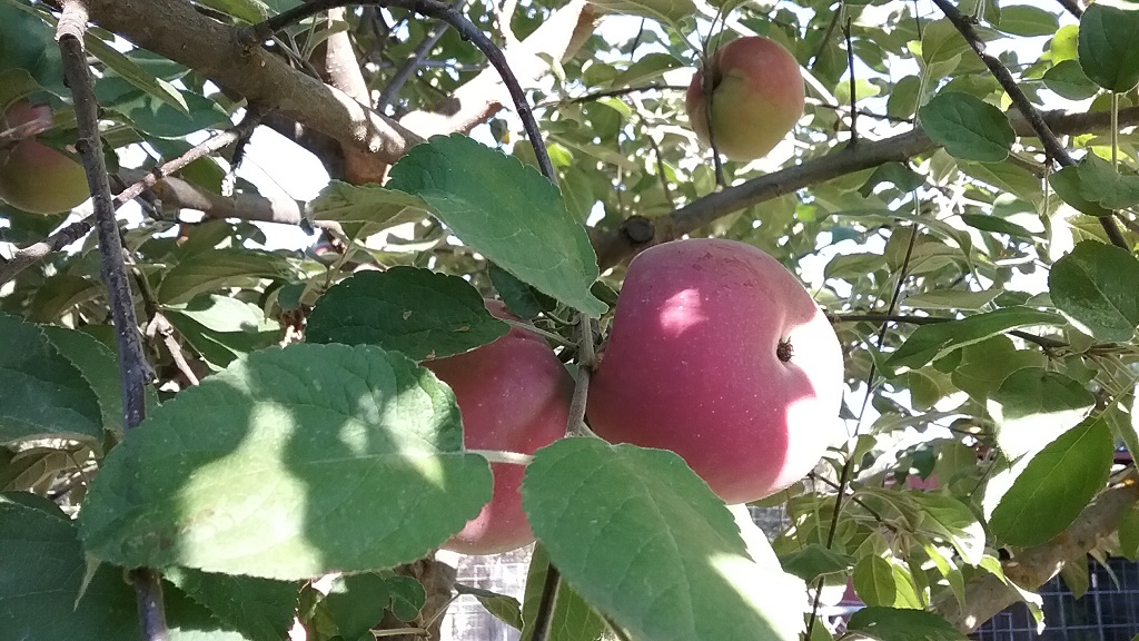 20171008_093228.jpg