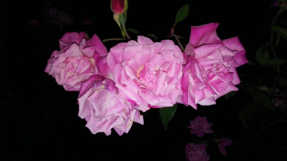 20171206_195454.jpg