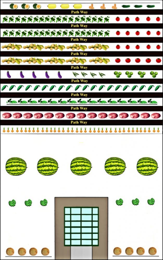 2017_Spring_Garden_Plan.jpg