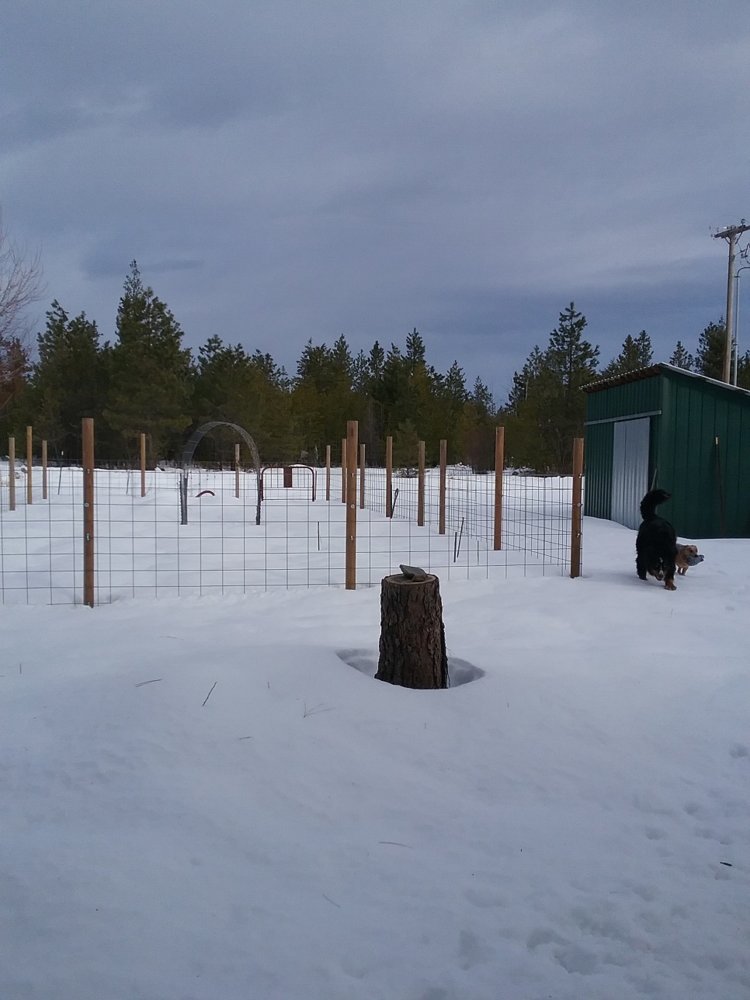 20180130_093533.jpg