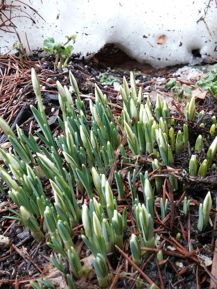 20180205_113717.jpg