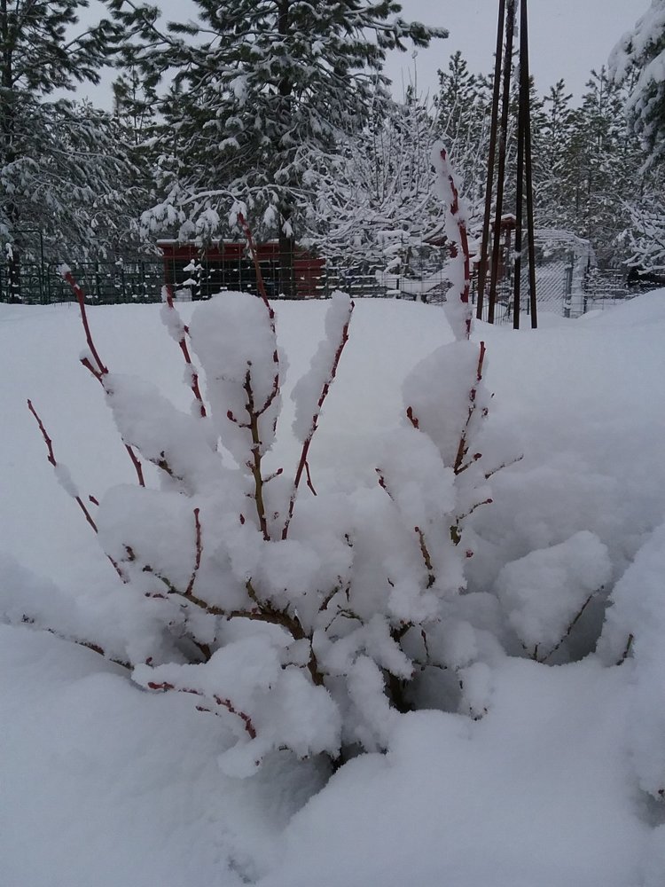20180214_103508.jpg