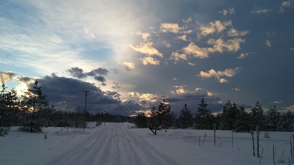 20180302_171336.jpg