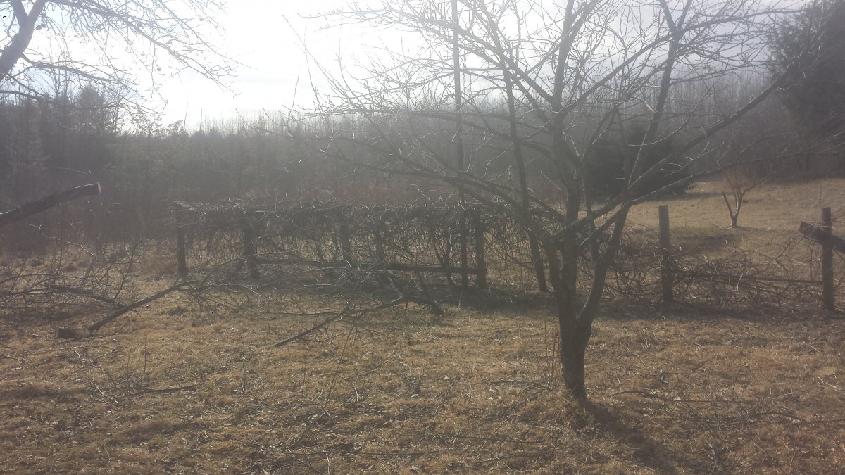 20180304_141920.jpg