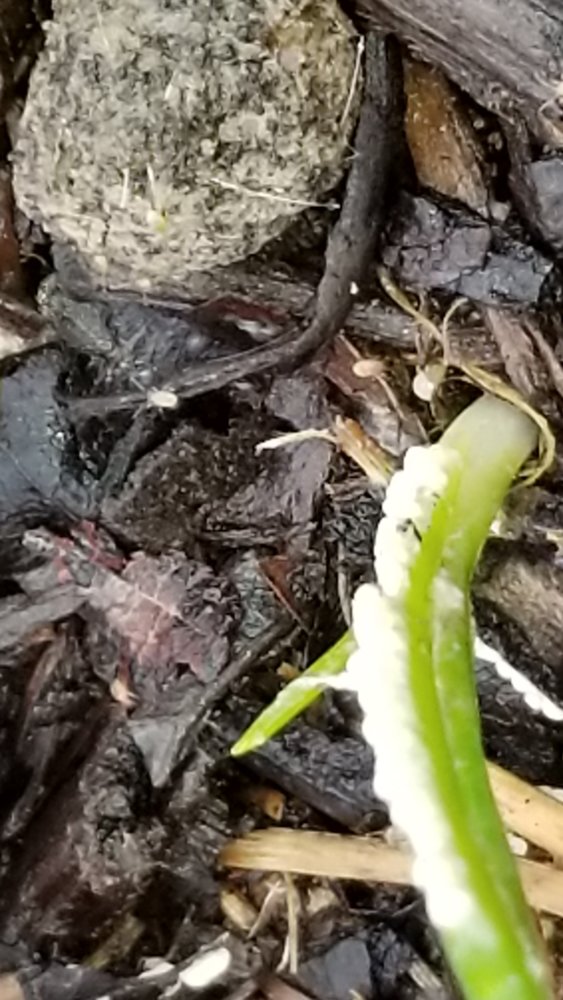 20180328_130915.jpg