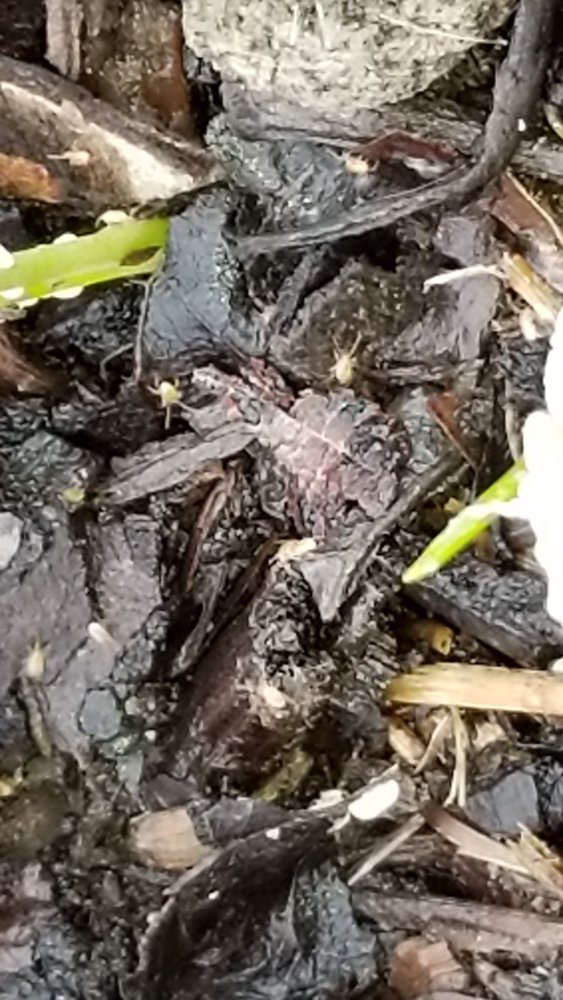 20180328_130917.jpg