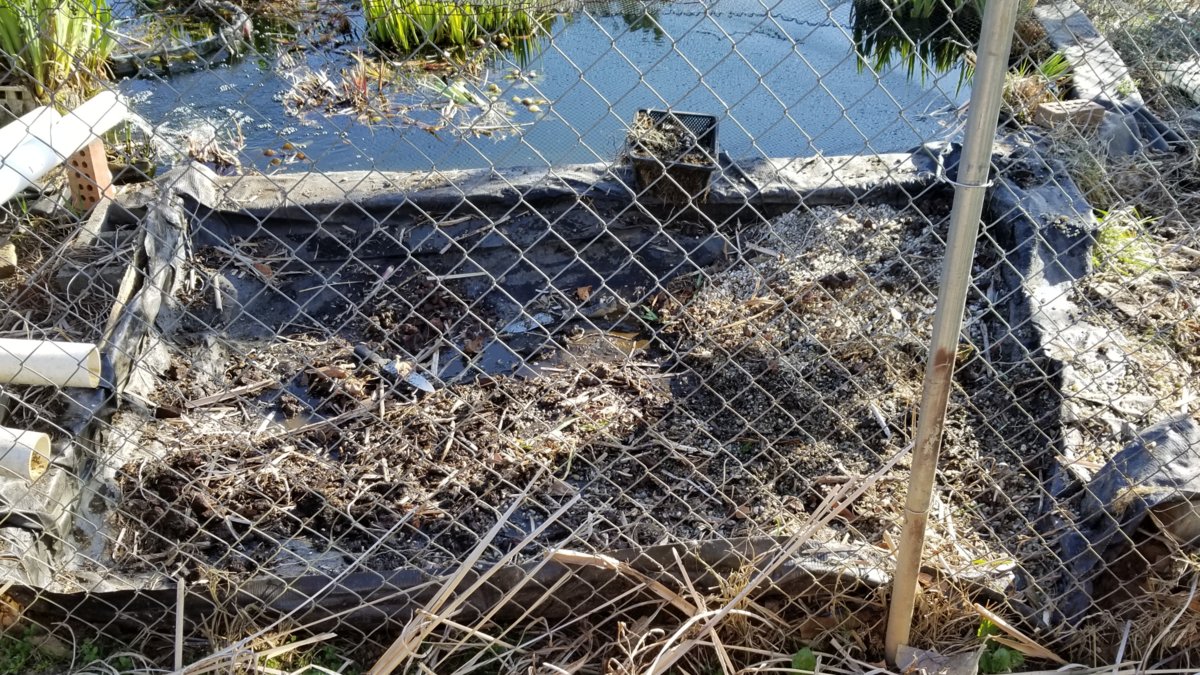 20180406_194631.jpg