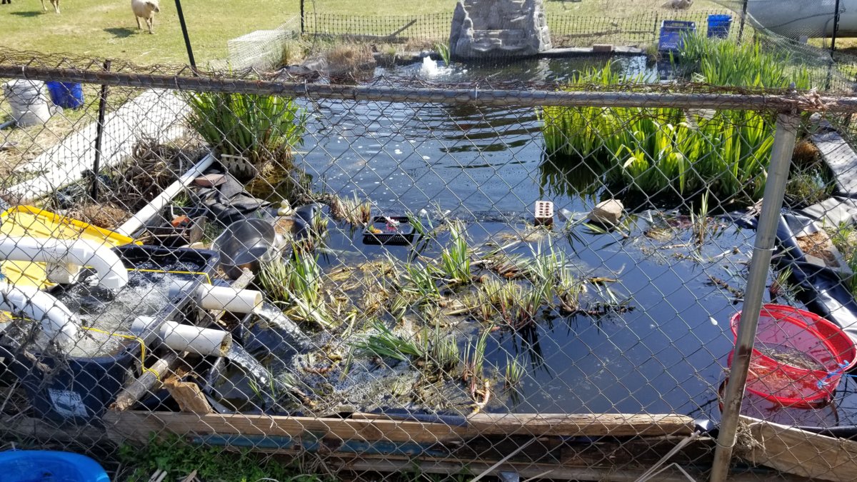 20180418_163447.jpg