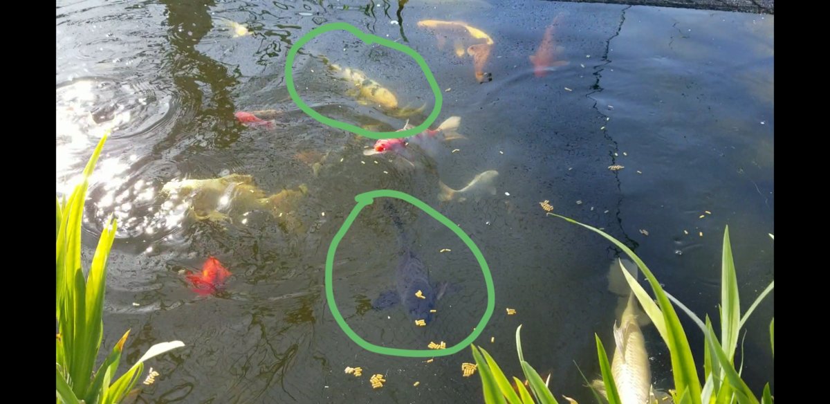 20180426_115237.jpg