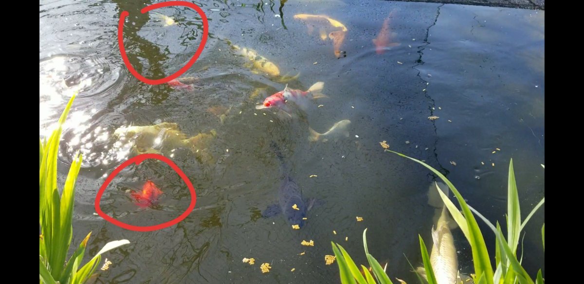20180426_120721.jpg