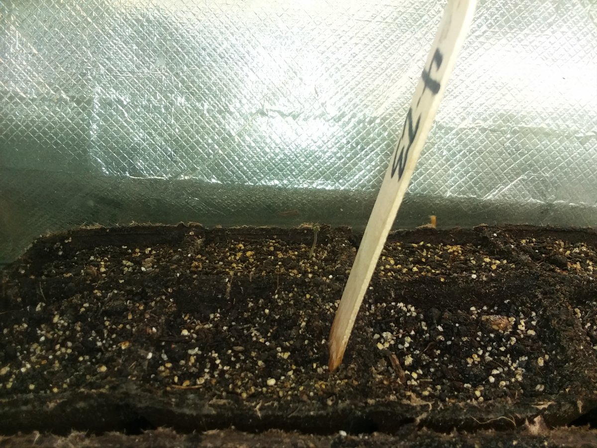 20180427_114431.jpg