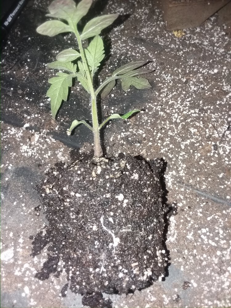 20180428_163833.jpg