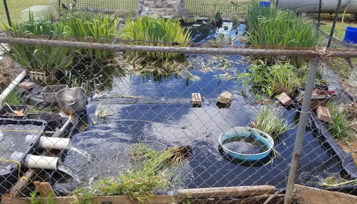 20180429_134453.jpg