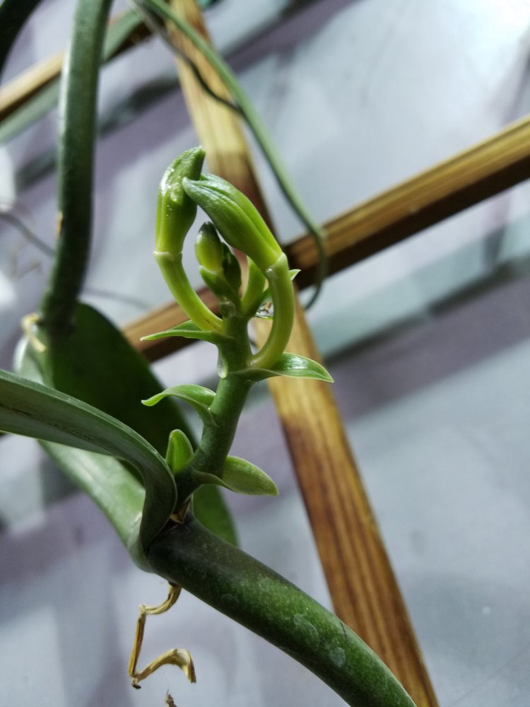 20180430_082607.jpg