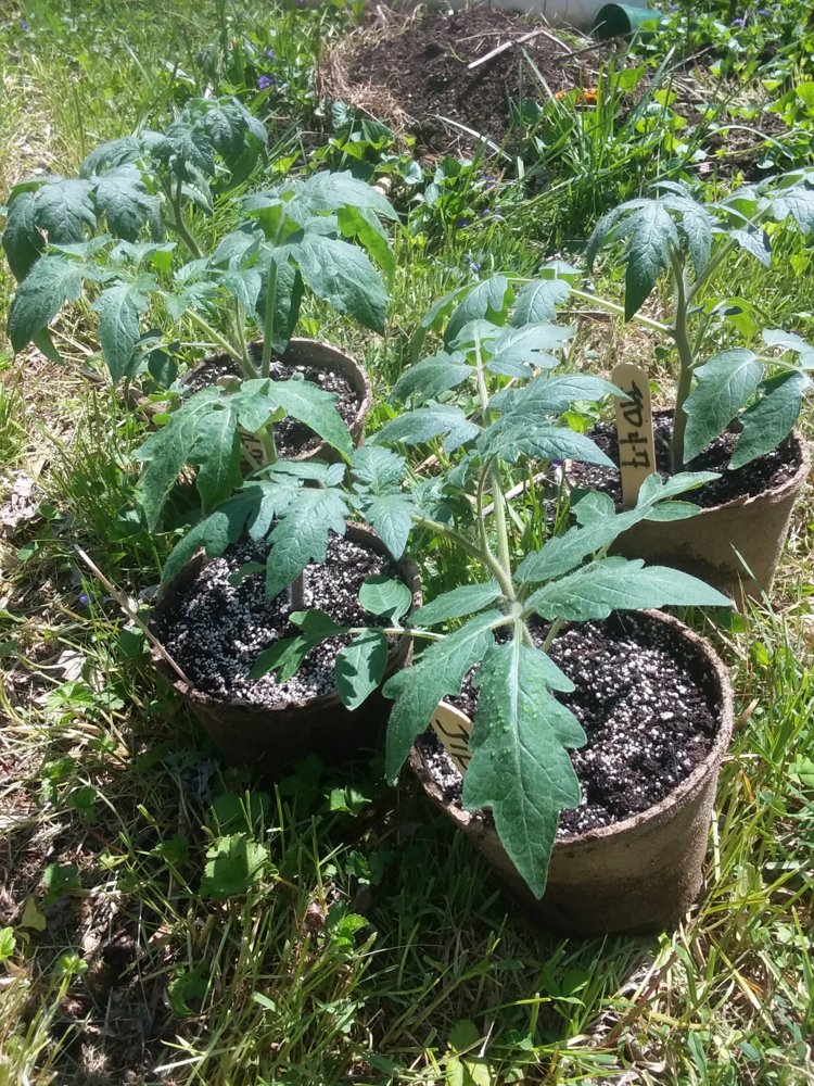 20180507_142457.jpg