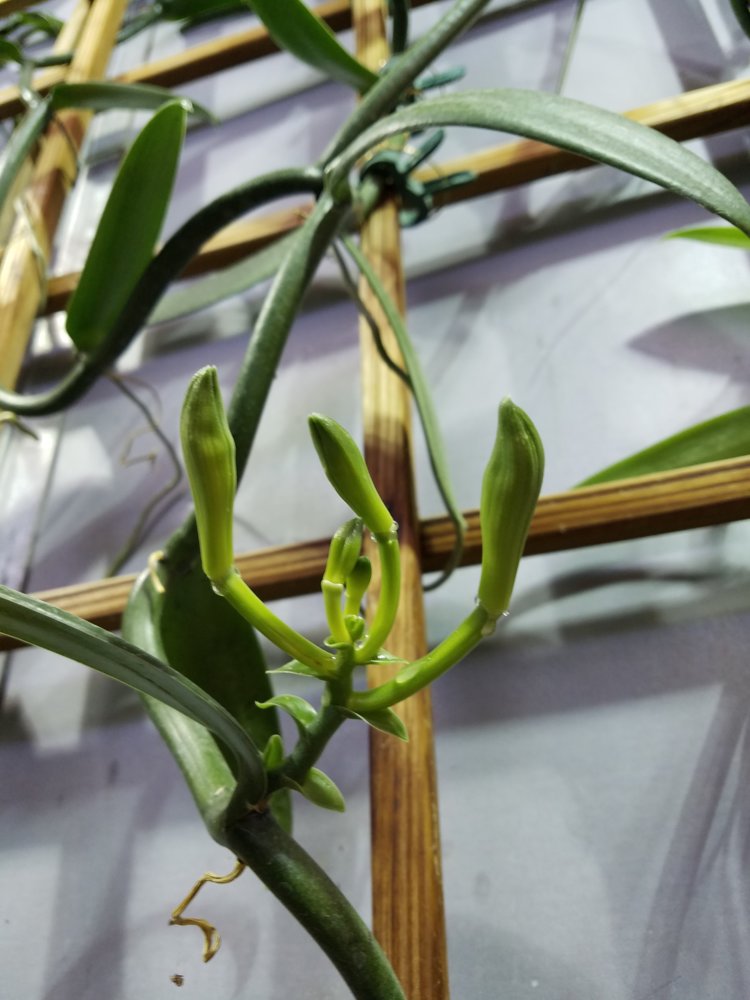 20180510_101107.jpg