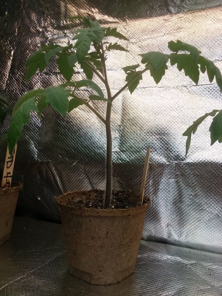 20180513_153856.jpg