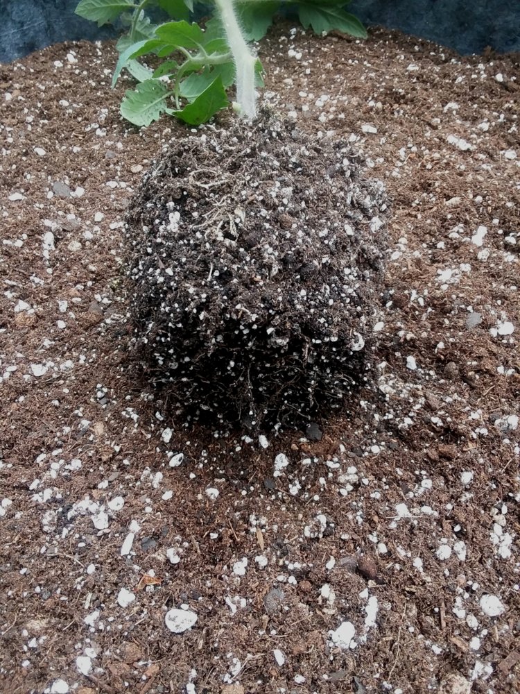 20180518_144732.jpg