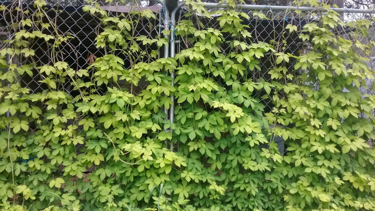 20180518_173620.jpg