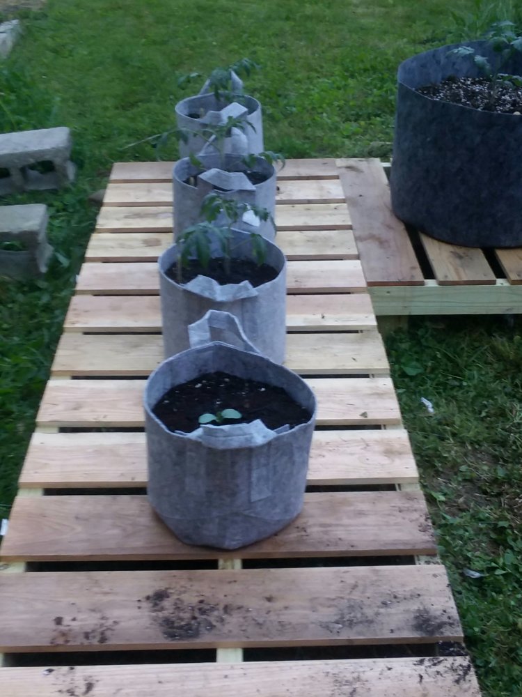 20180519_205249.jpg