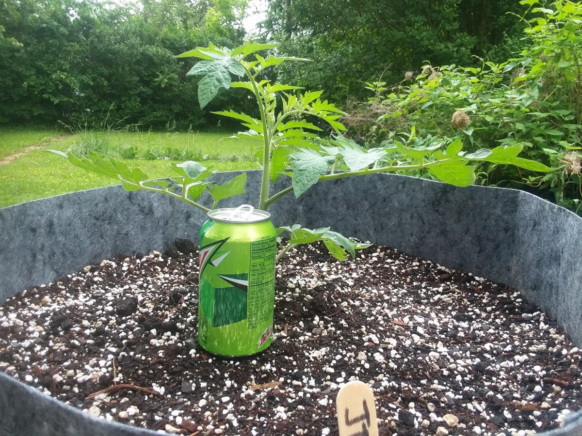20180522_112643.jpg