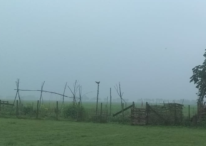 20180530_083029.jpg