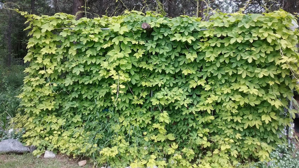 20180531_154100.jpg