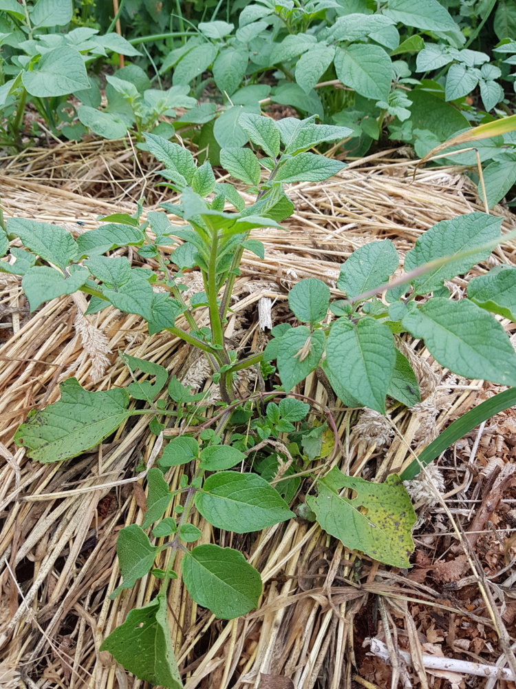 20180602_124212.jpg
