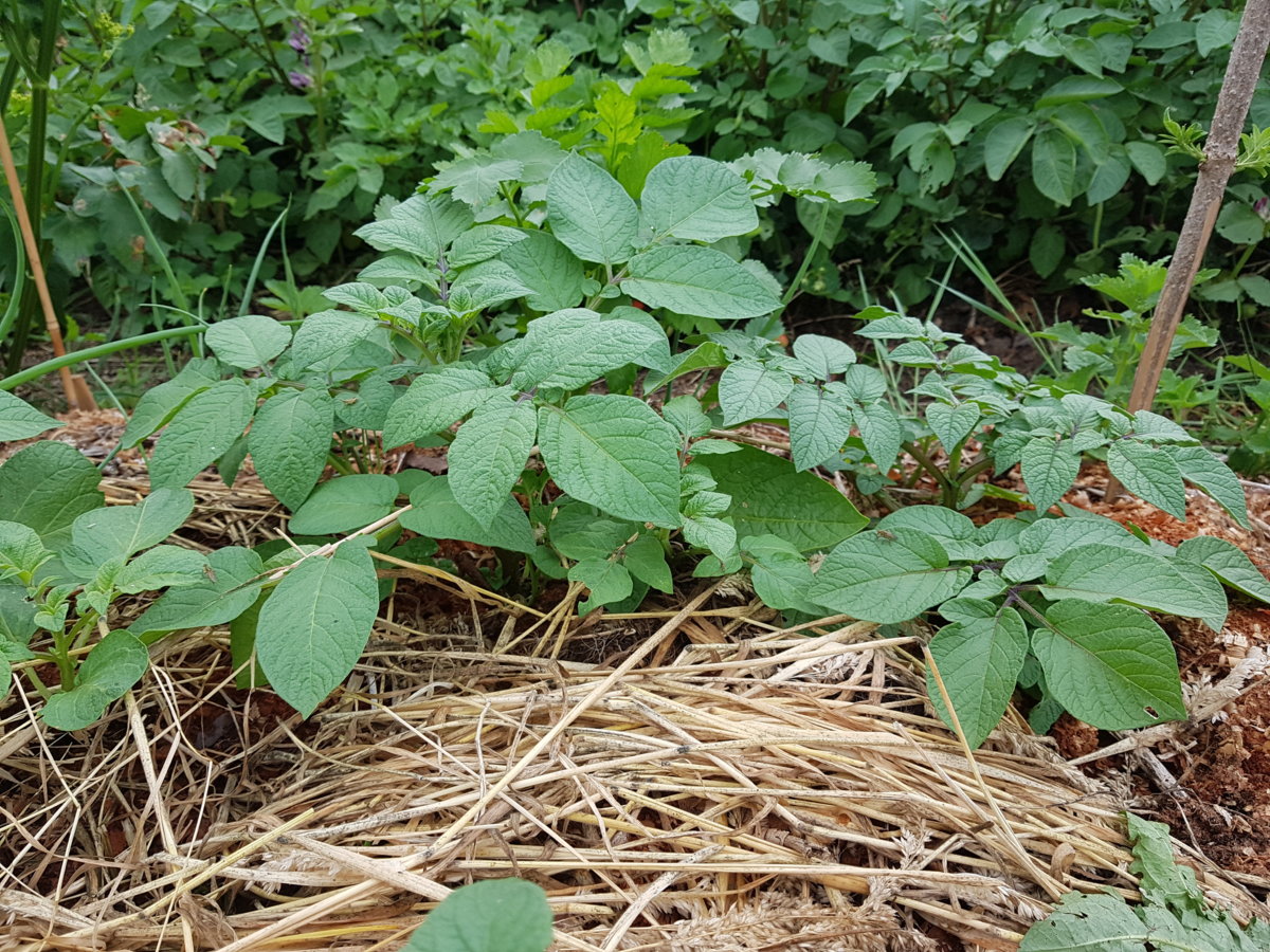 20180602_124217.jpg