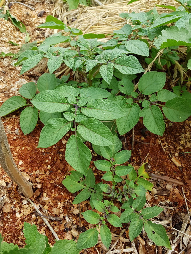 20180602_133938.jpg