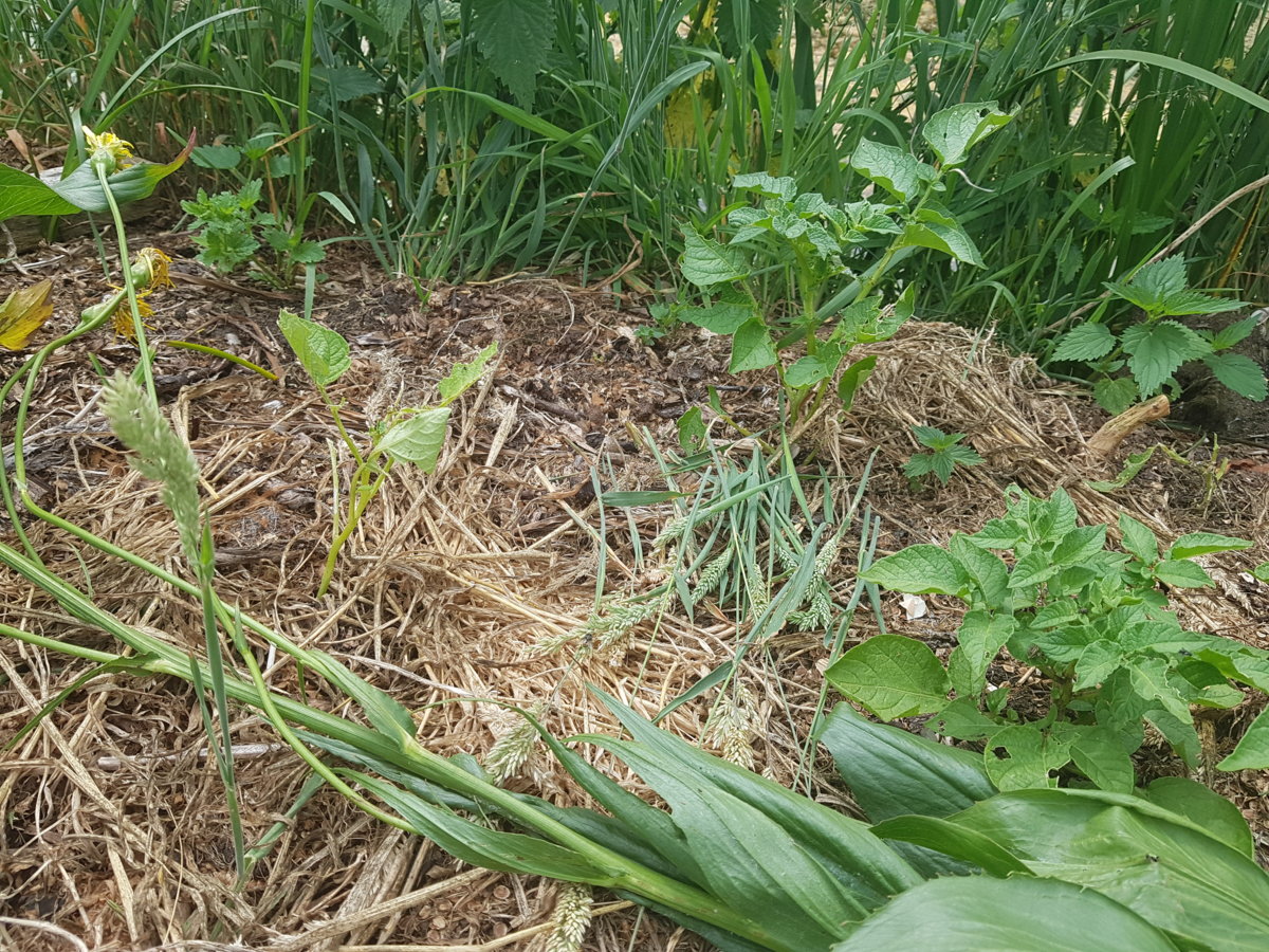 20180609_112614.jpg